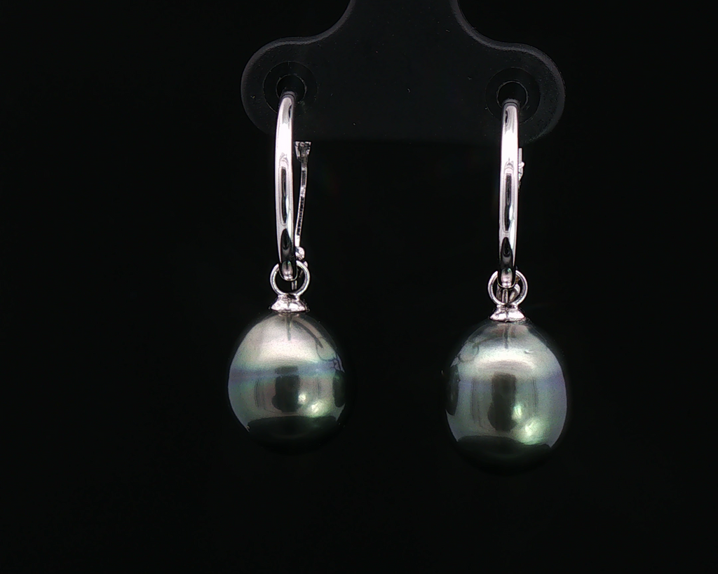 Tahitian Pearl Hoops