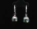 Tahitian Pearl Hoops