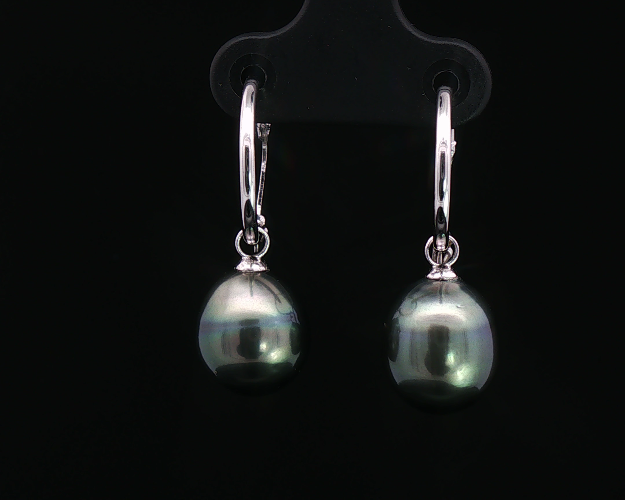 Tahitian Pearl Hoops