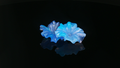 Neon Petals