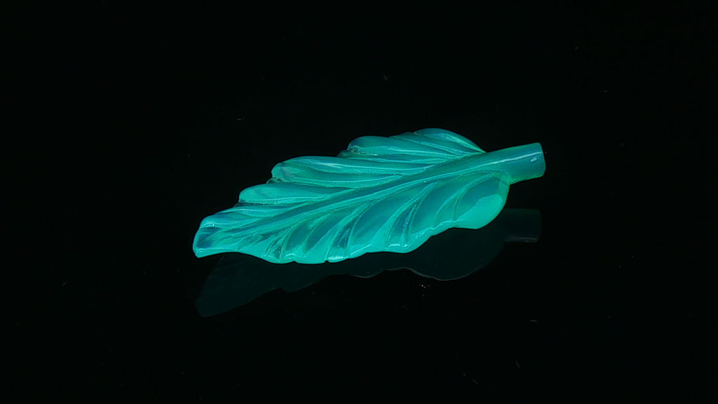 Neon Nature