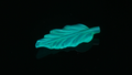 Neon Nature