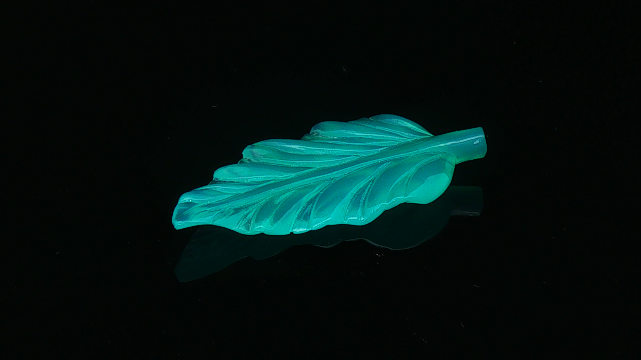 Neon Nature