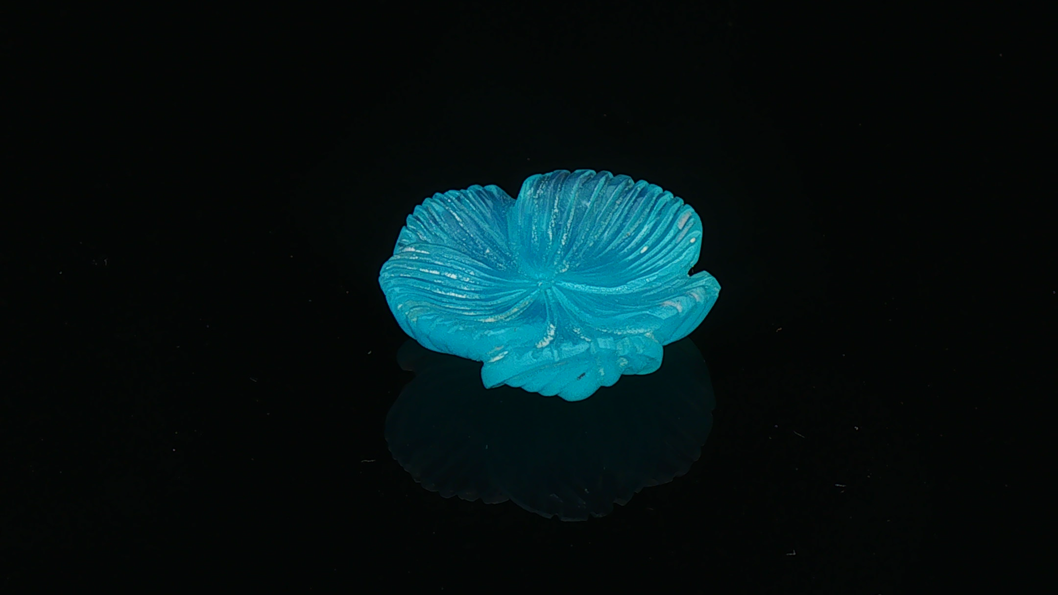 Neon Bloom