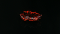 Fire in Stone