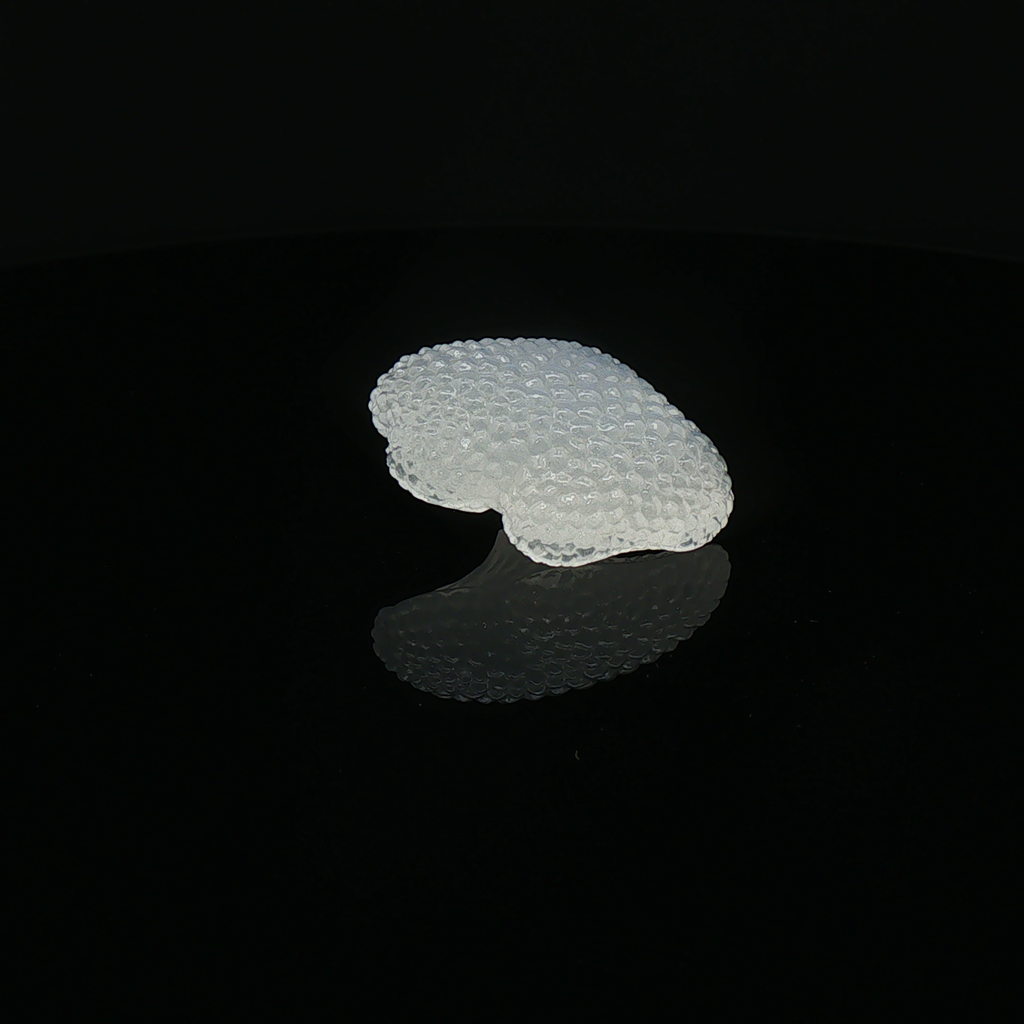 Moon Cap