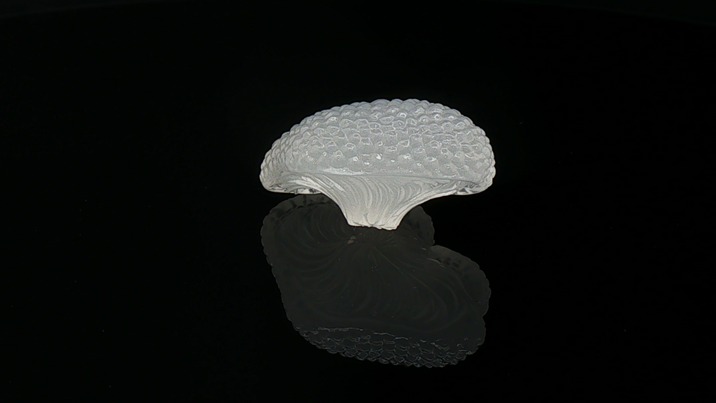 Moon Cap