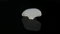 Moon Cap