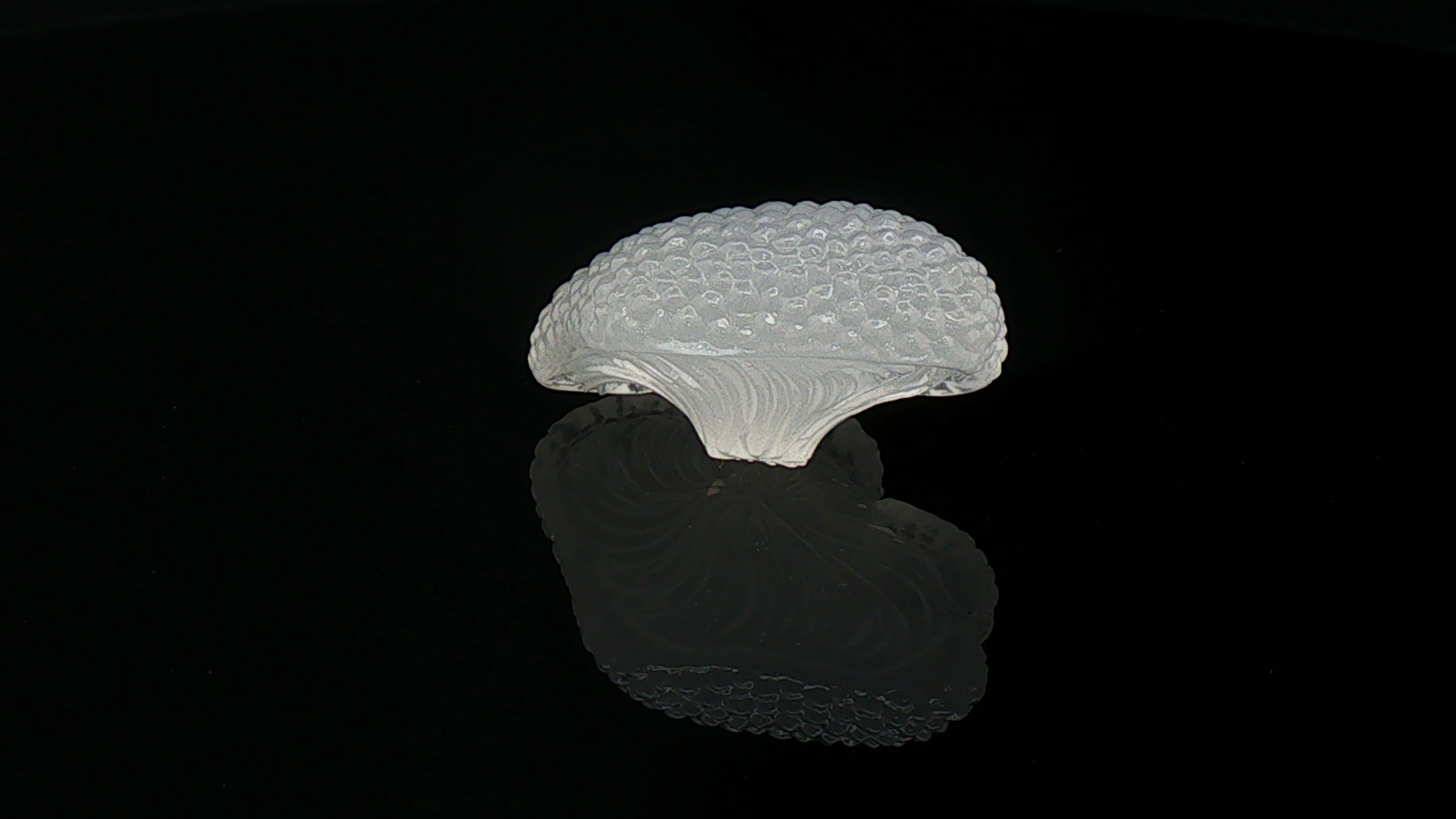 Moon Cap