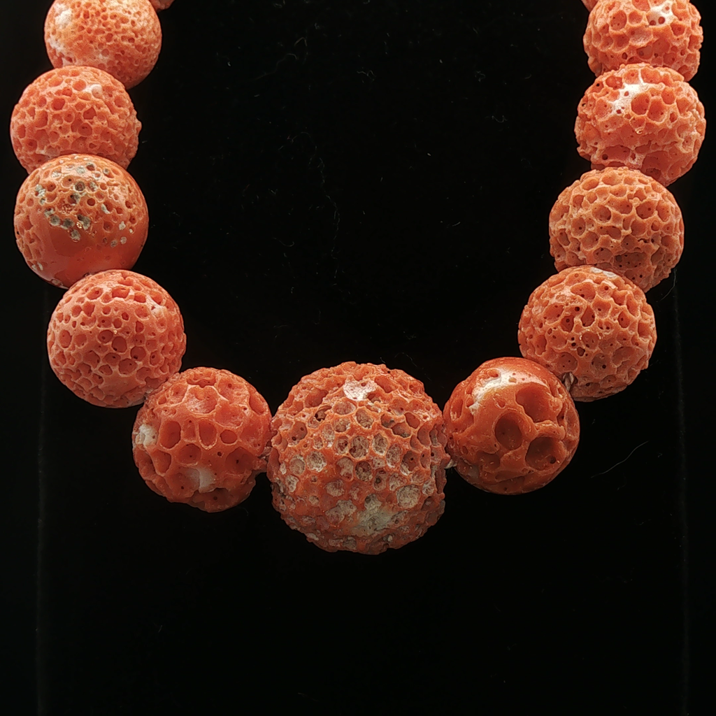 Mousse Coral