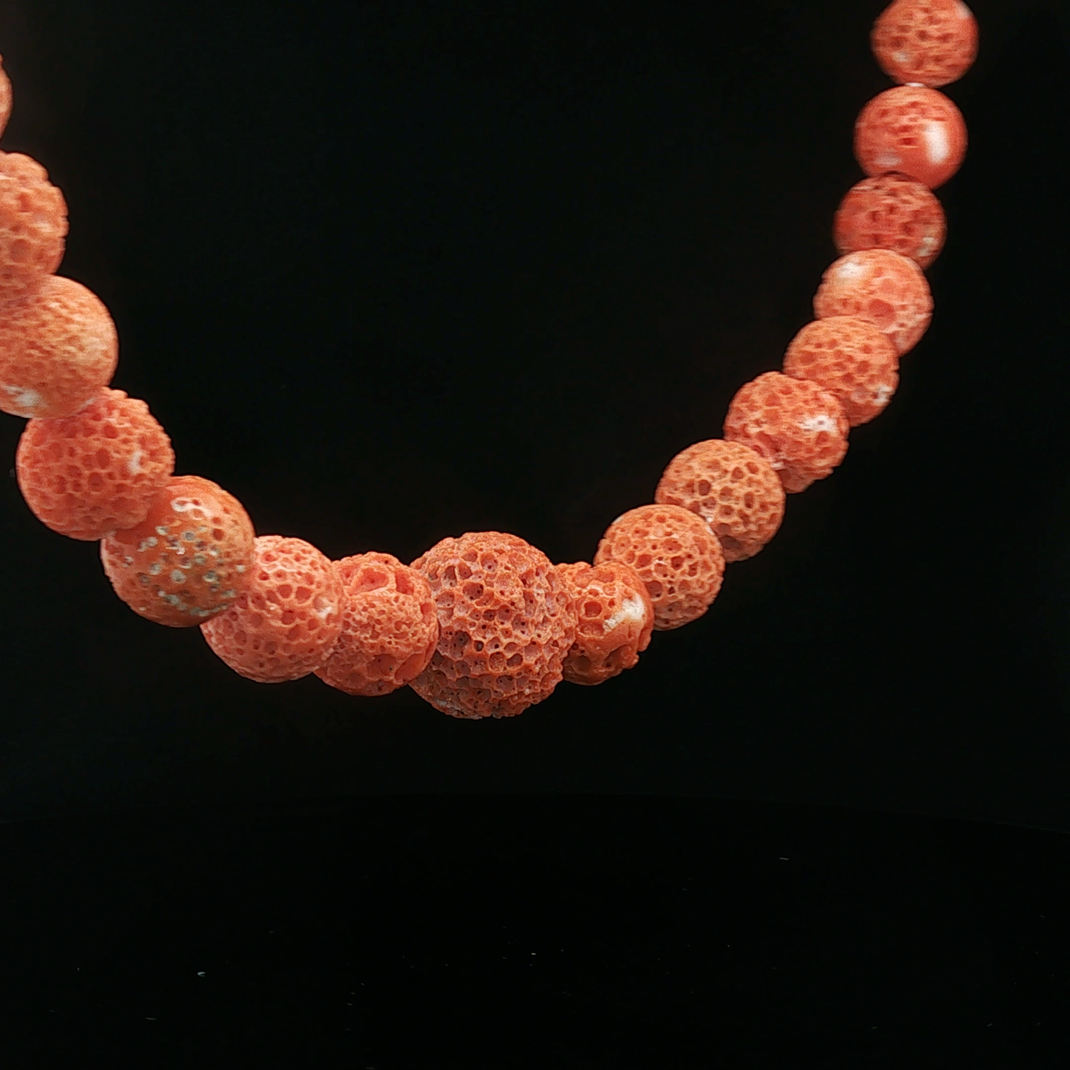 Mousse Coral