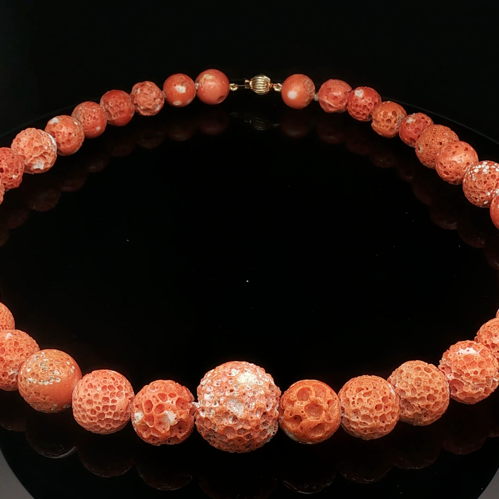Mousse Coral