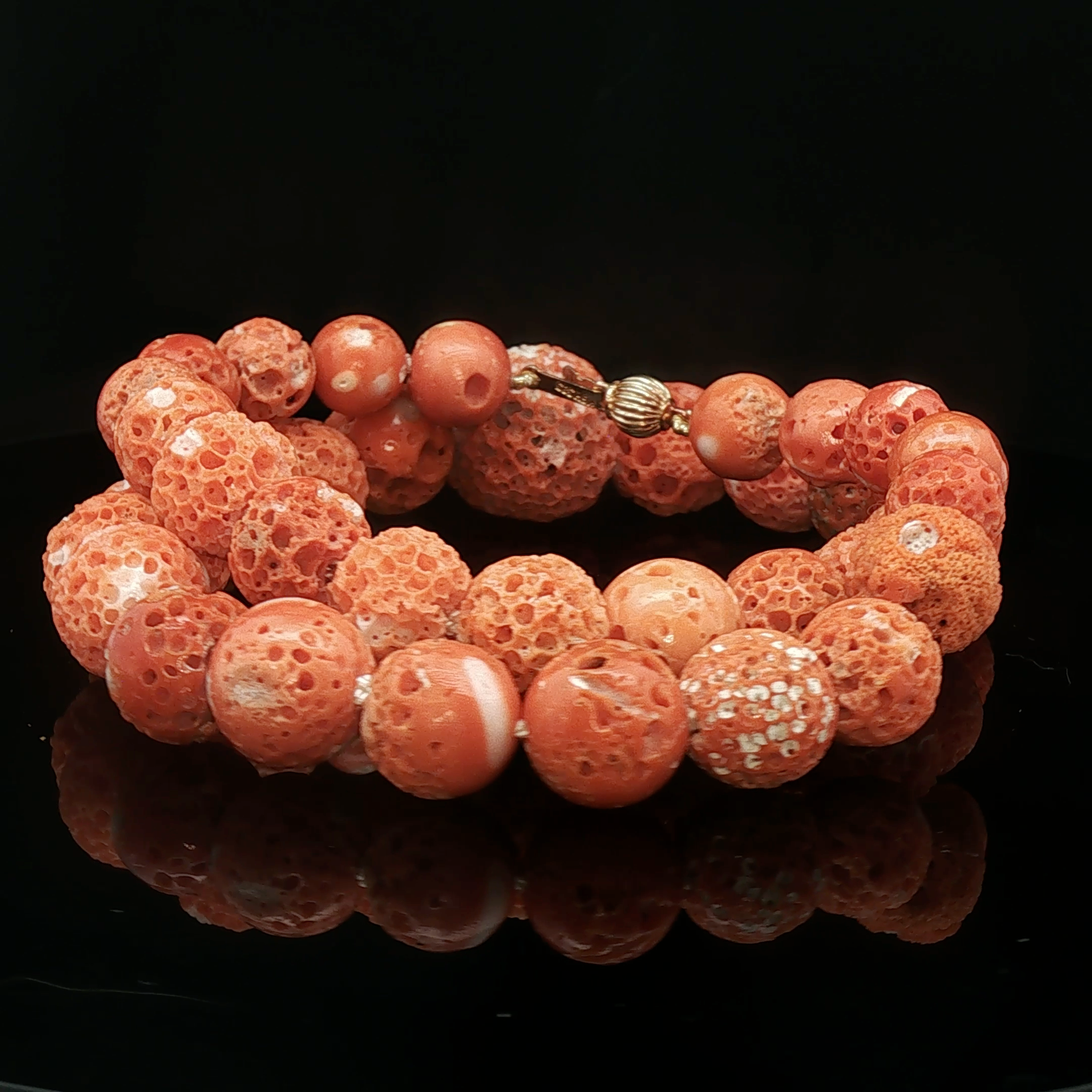 Mousse Coral