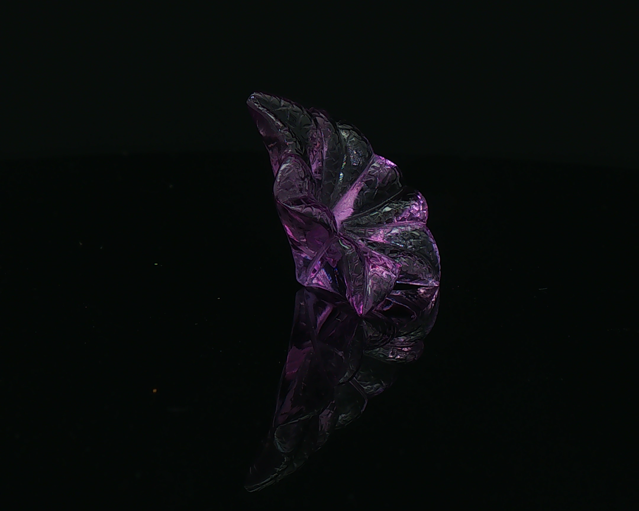 Floral Form: Amethyst