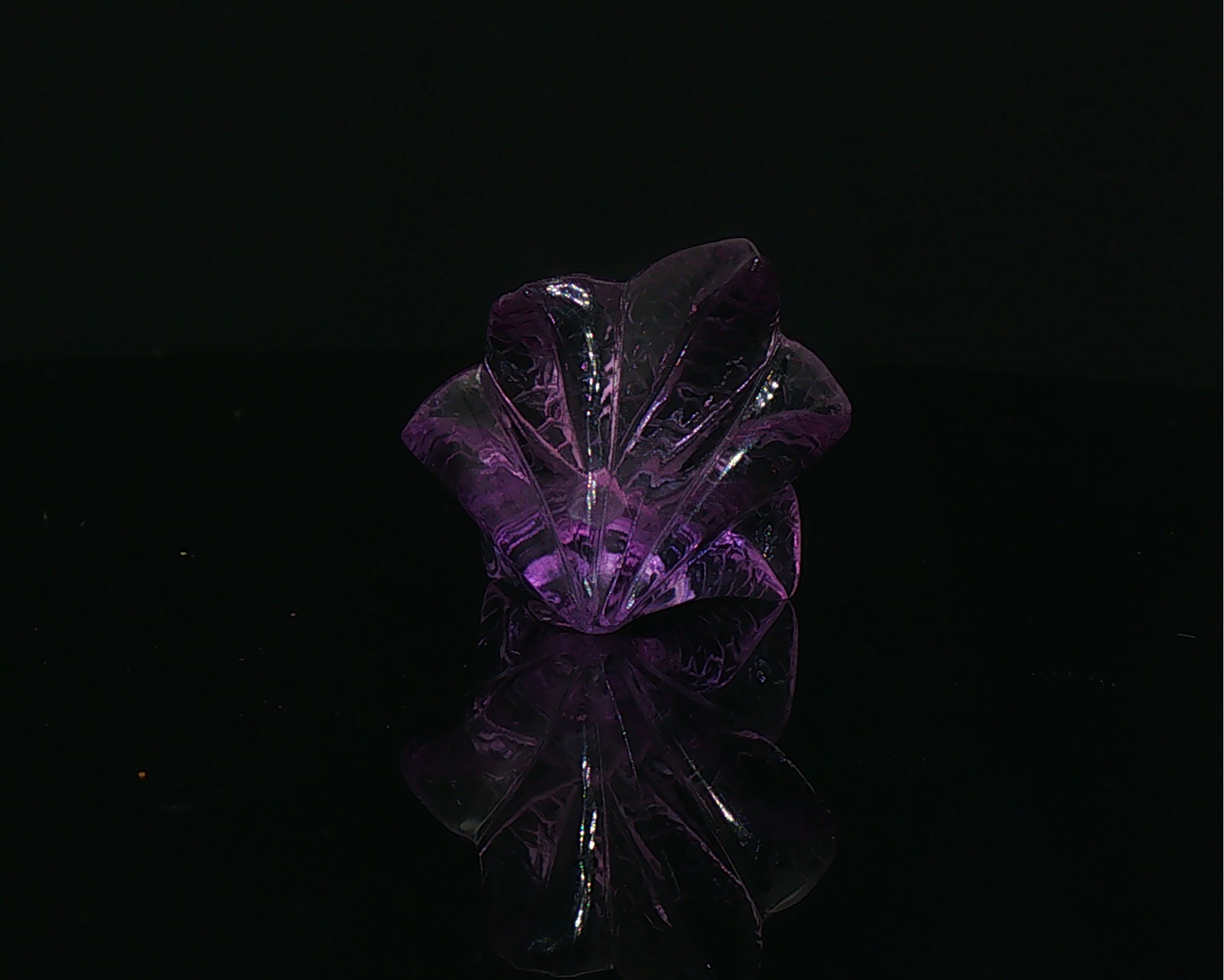 Floral Form: Amethyst