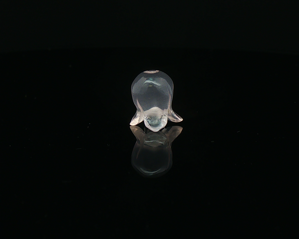 Jelly Flower I & II