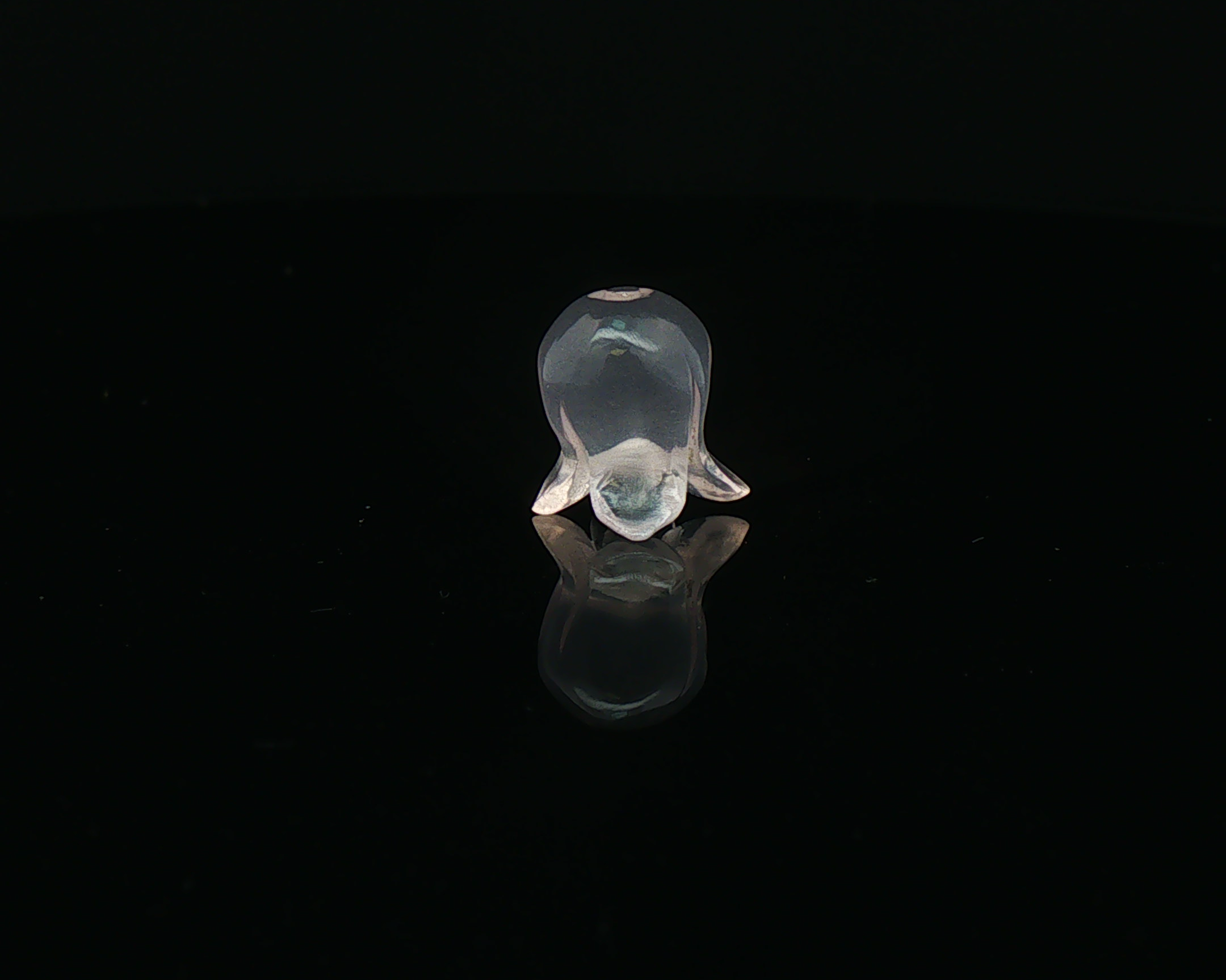 Jelly Flower I & II