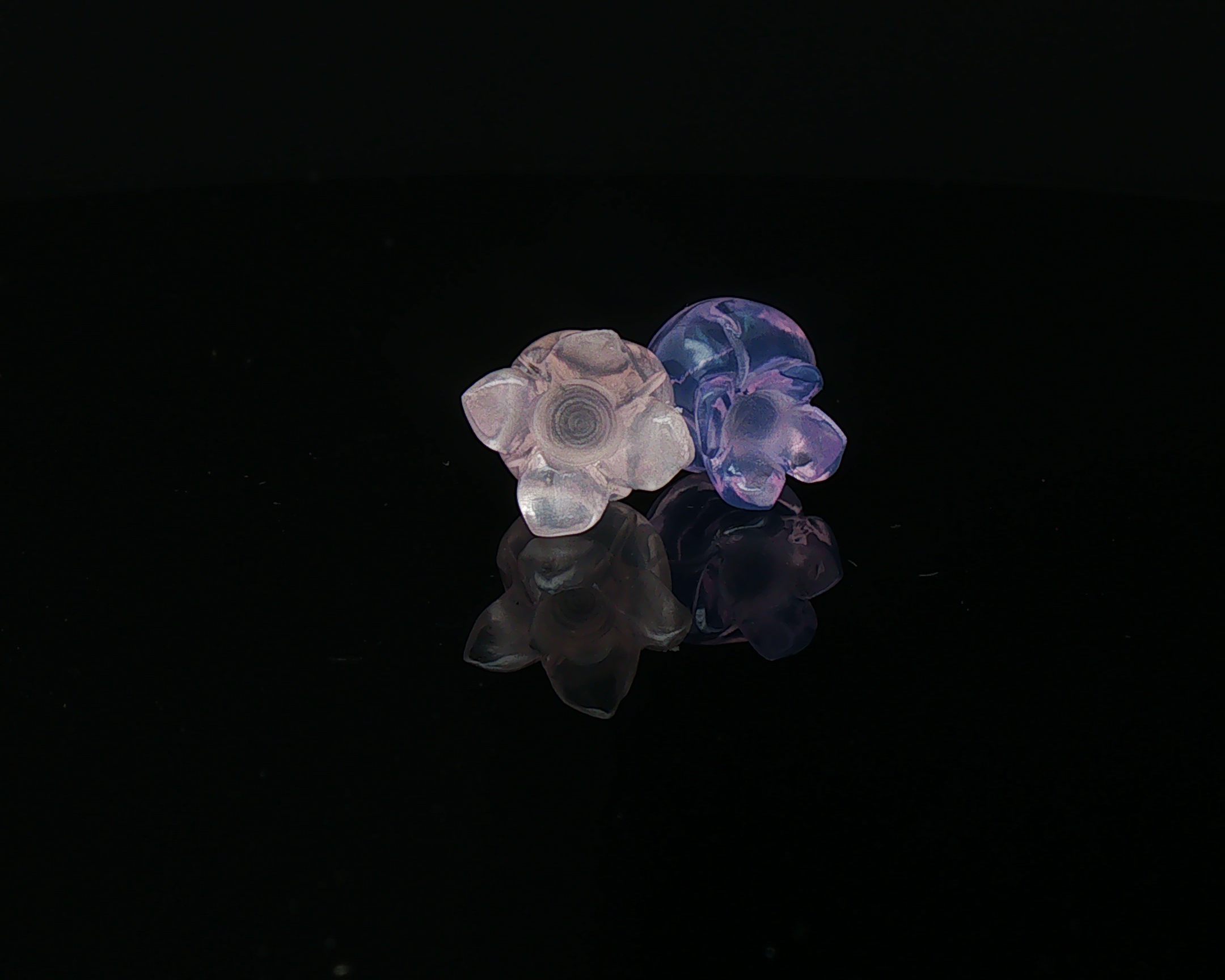 Jelly Flower I & II