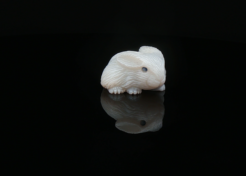 Potch Bunny