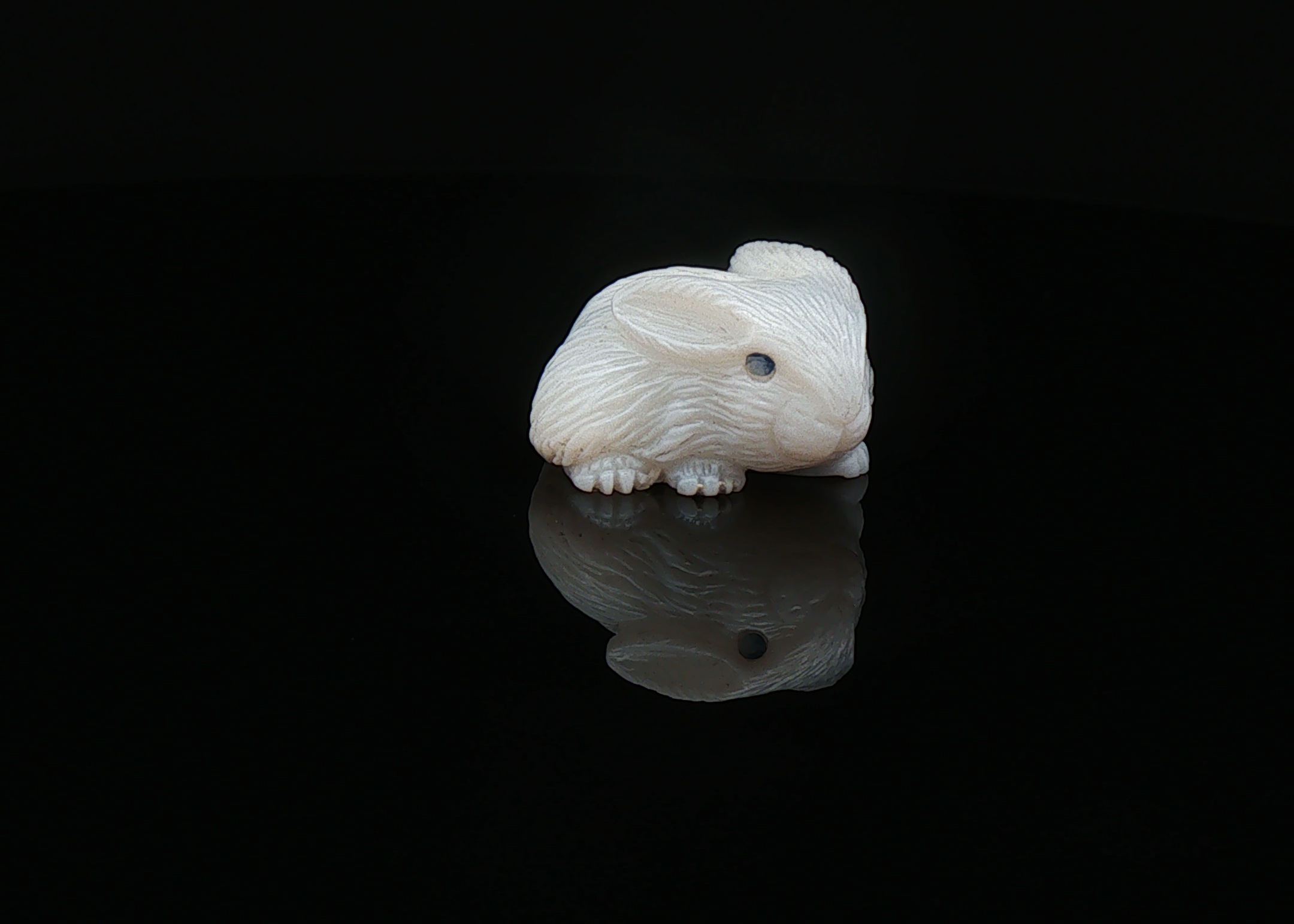 Potch Bunny
