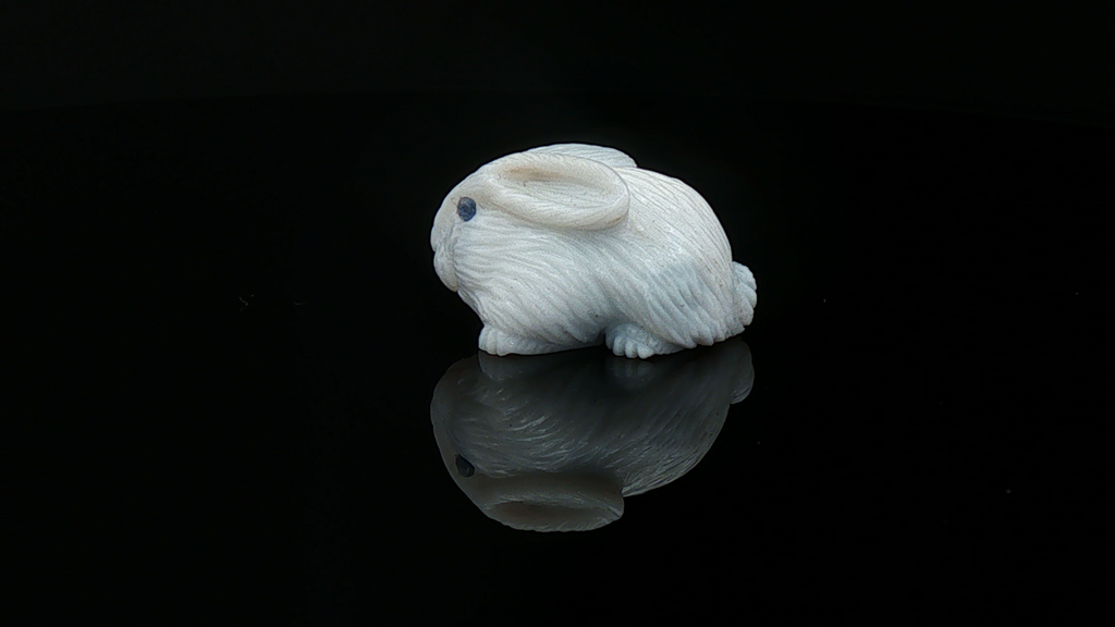 Potch Bunny