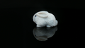 Potch Bunny