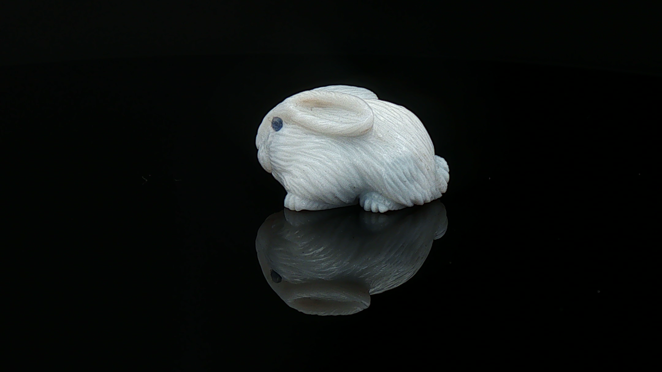 Potch Bunny