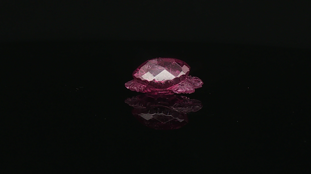 Gemstone Shell
