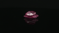 Gemstone Shell