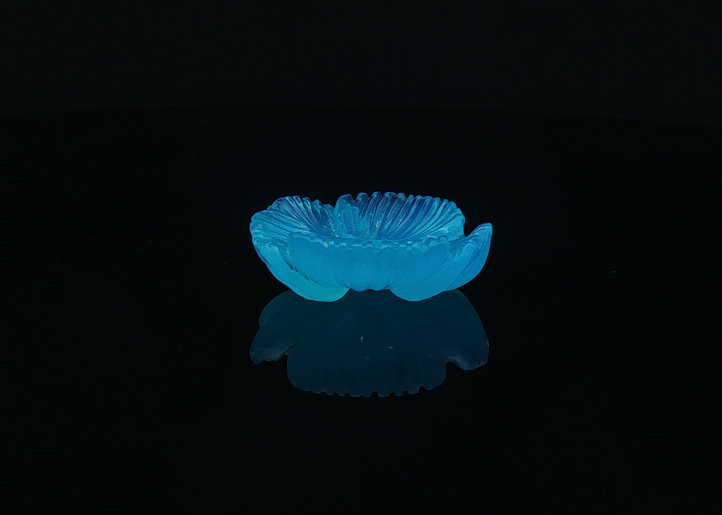 Neon Bloom
