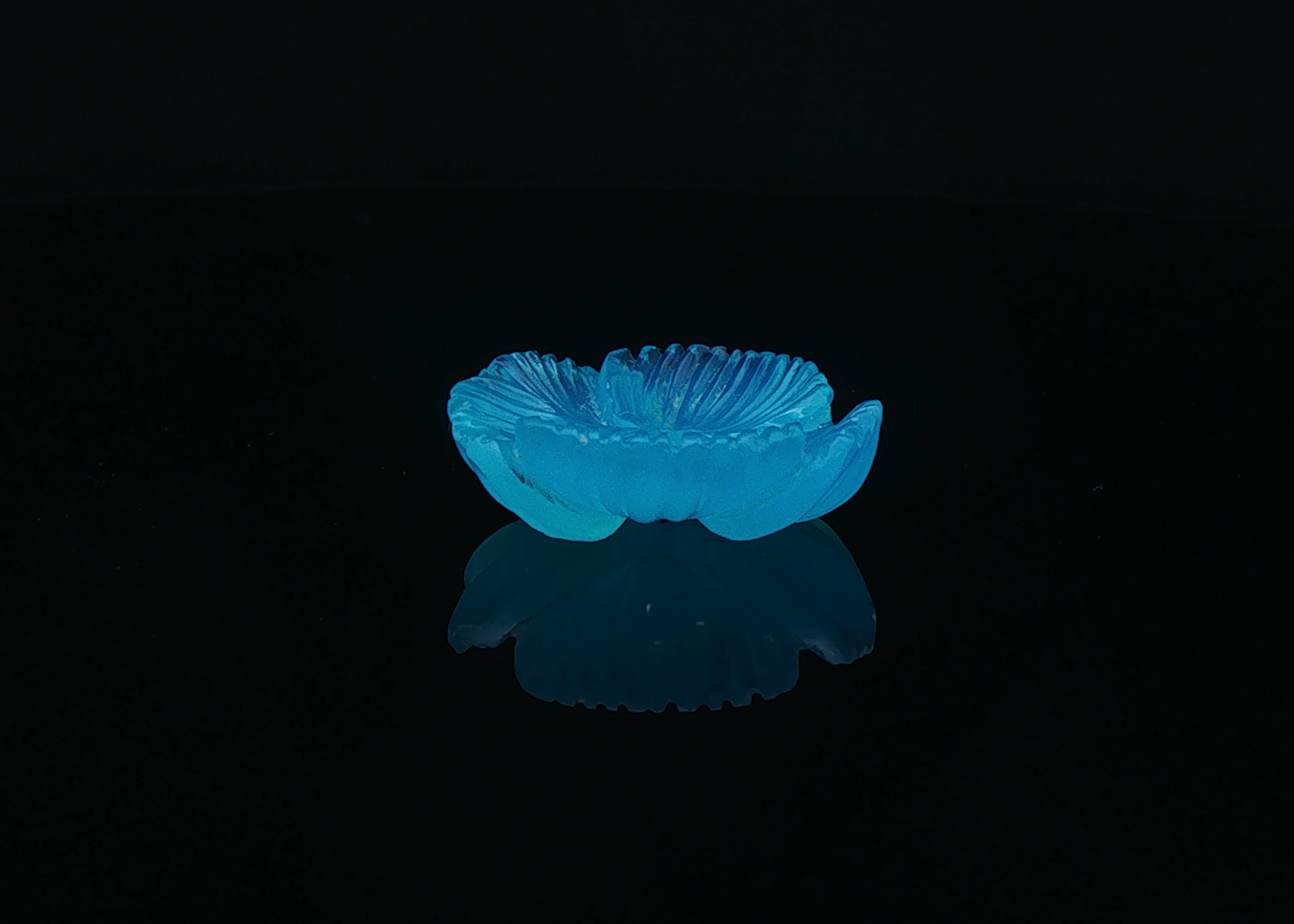 Neon Bloom