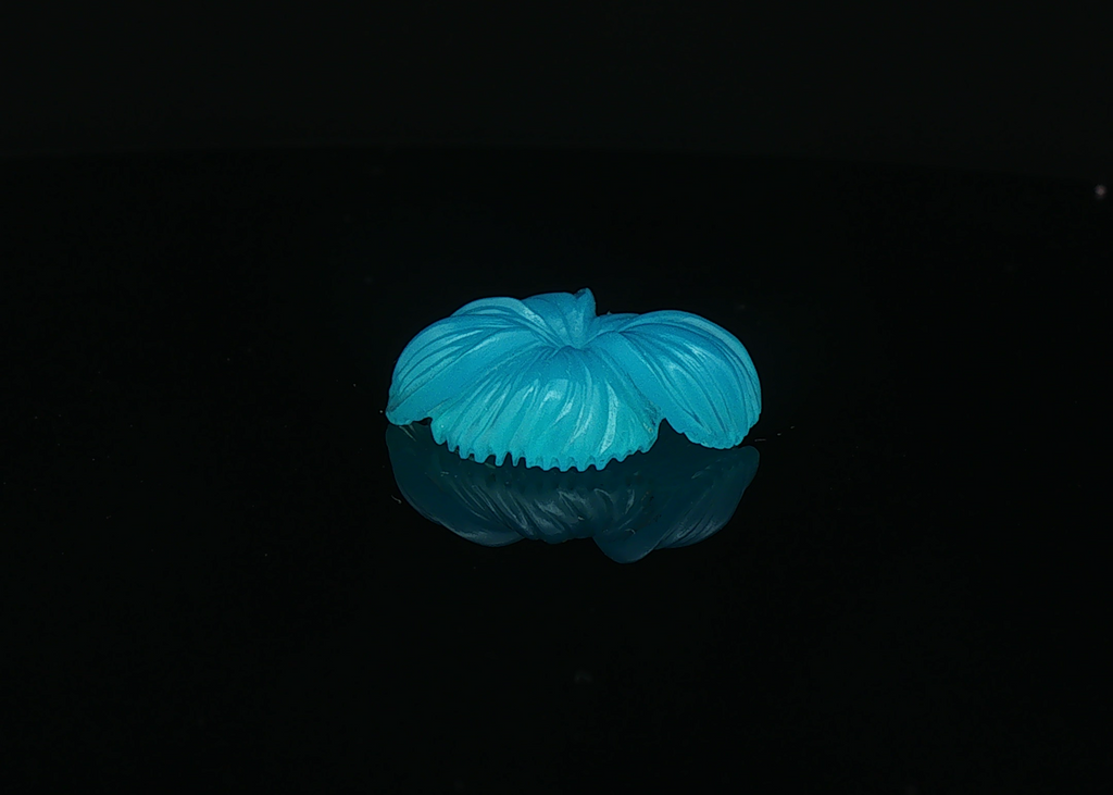 Neon Bloom