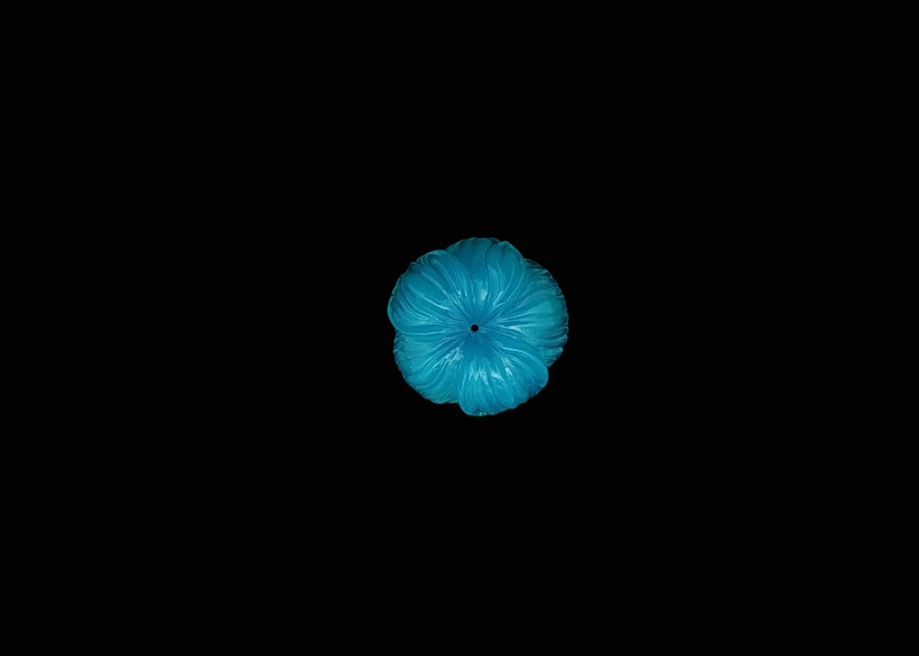 Neon Bloom
