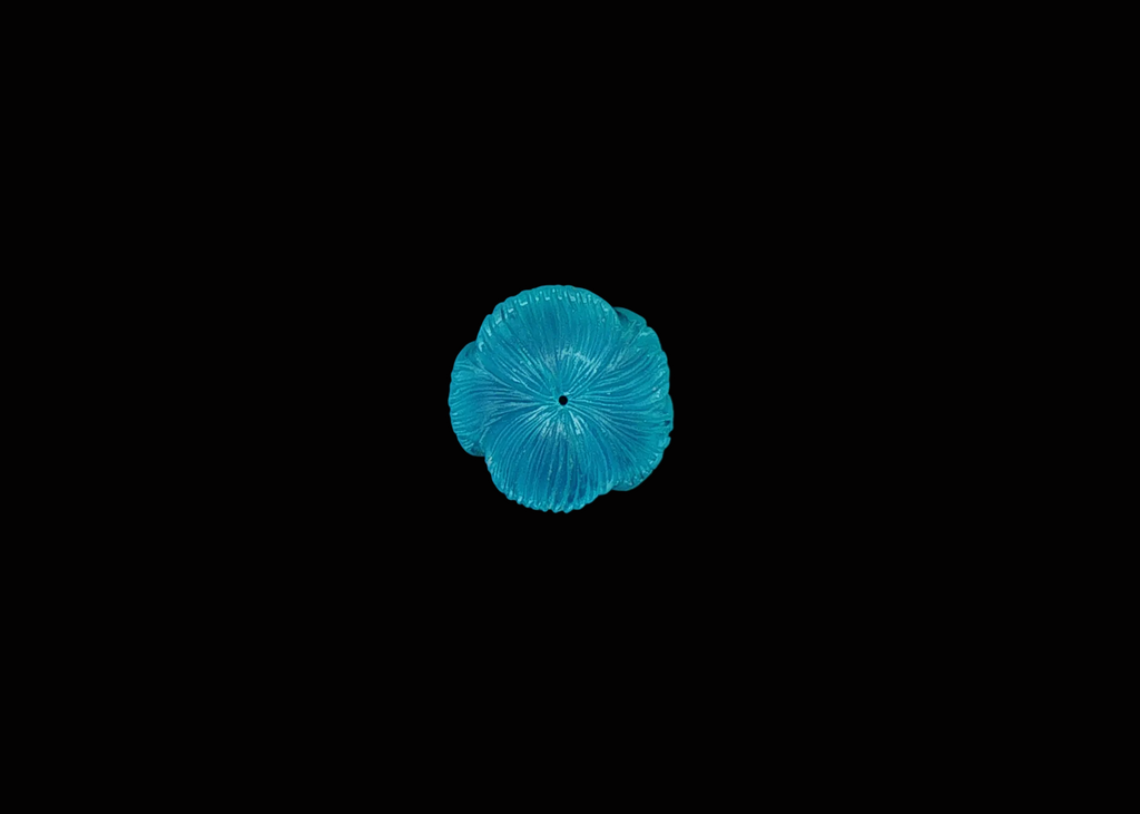 Neon Bloom