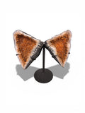 Wing in Citrine