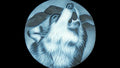 Nocturne: The Howl
