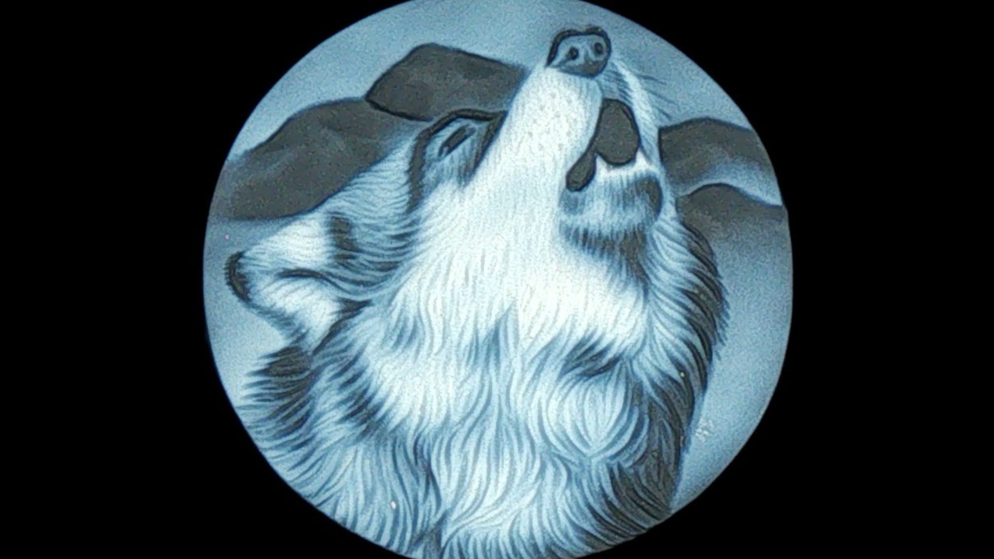 Nocturne: The Howl