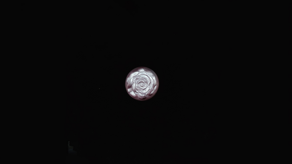 Moonlit Rose