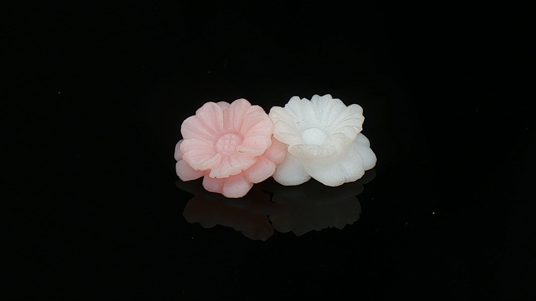 Flowering Stones