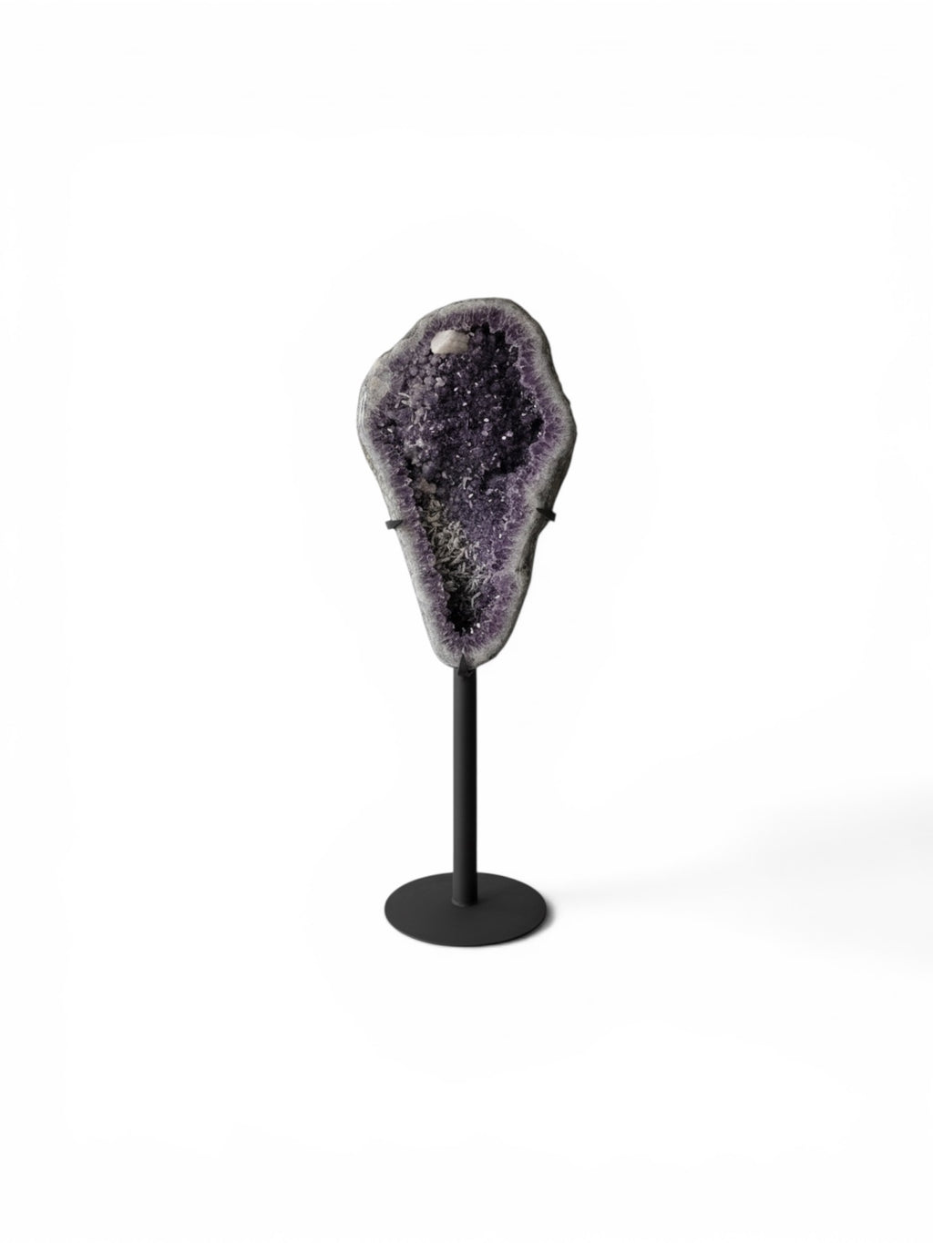 Violet Echo