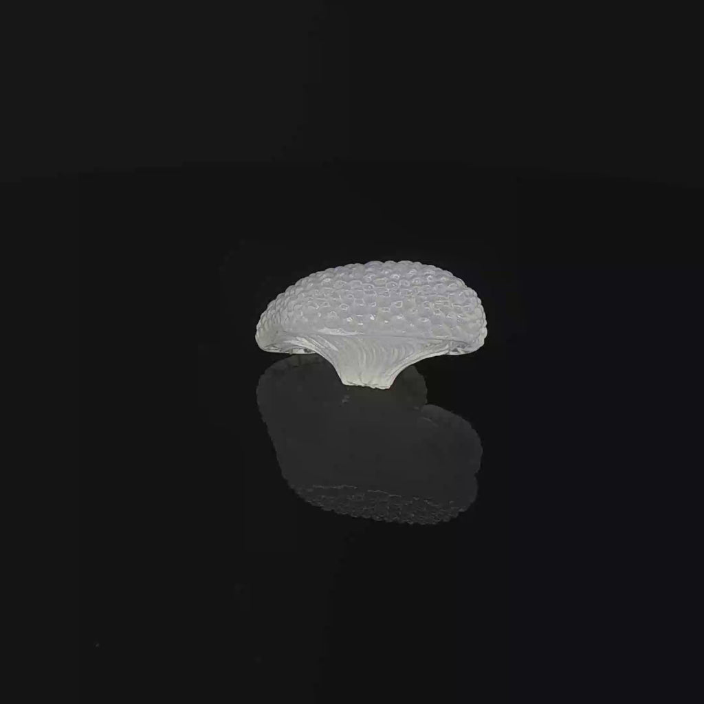 Moon Cap