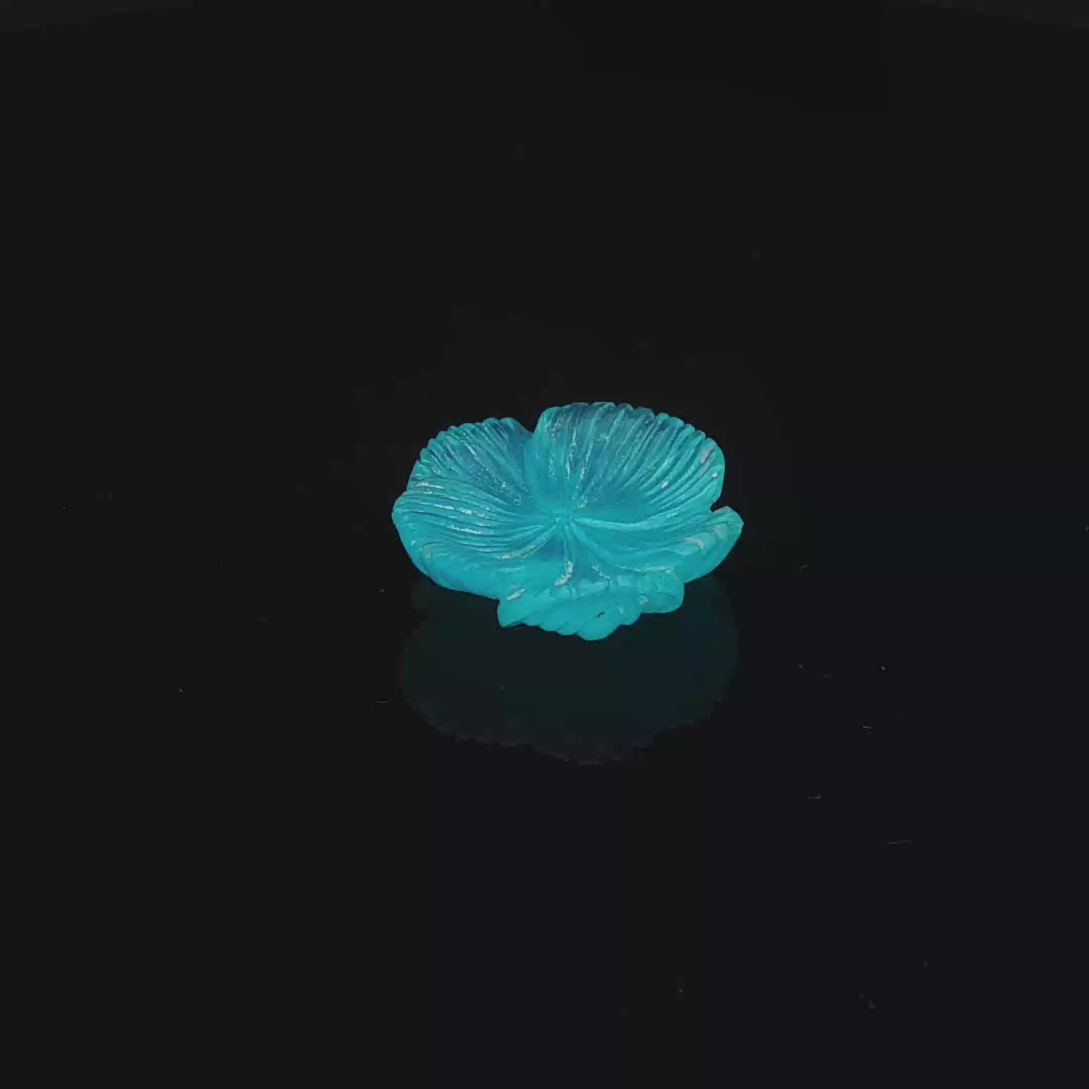 Neon Bloom
