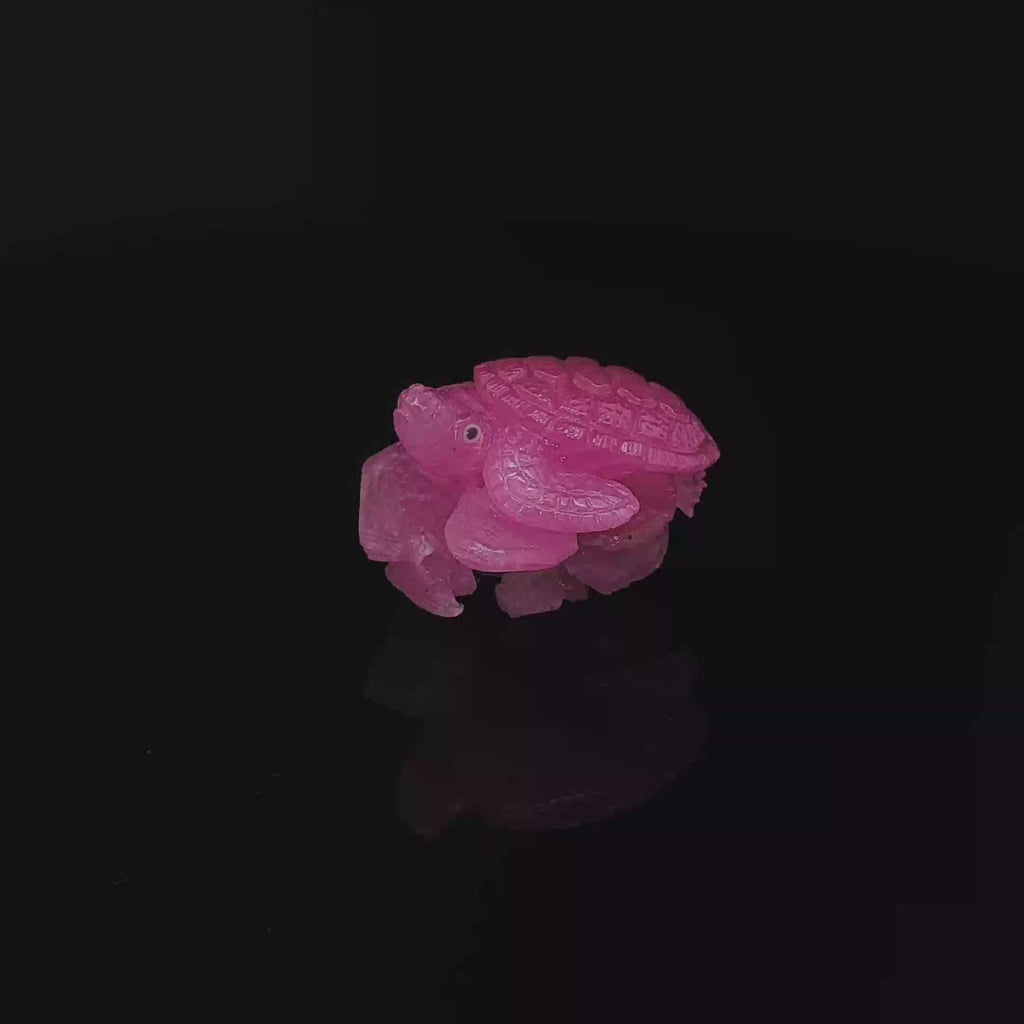 Rose of the Sea