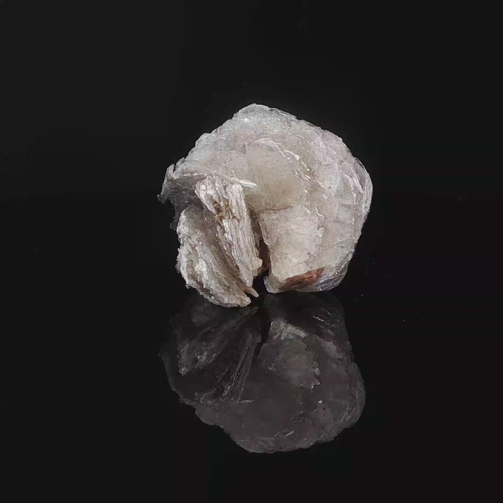 Polylithionite