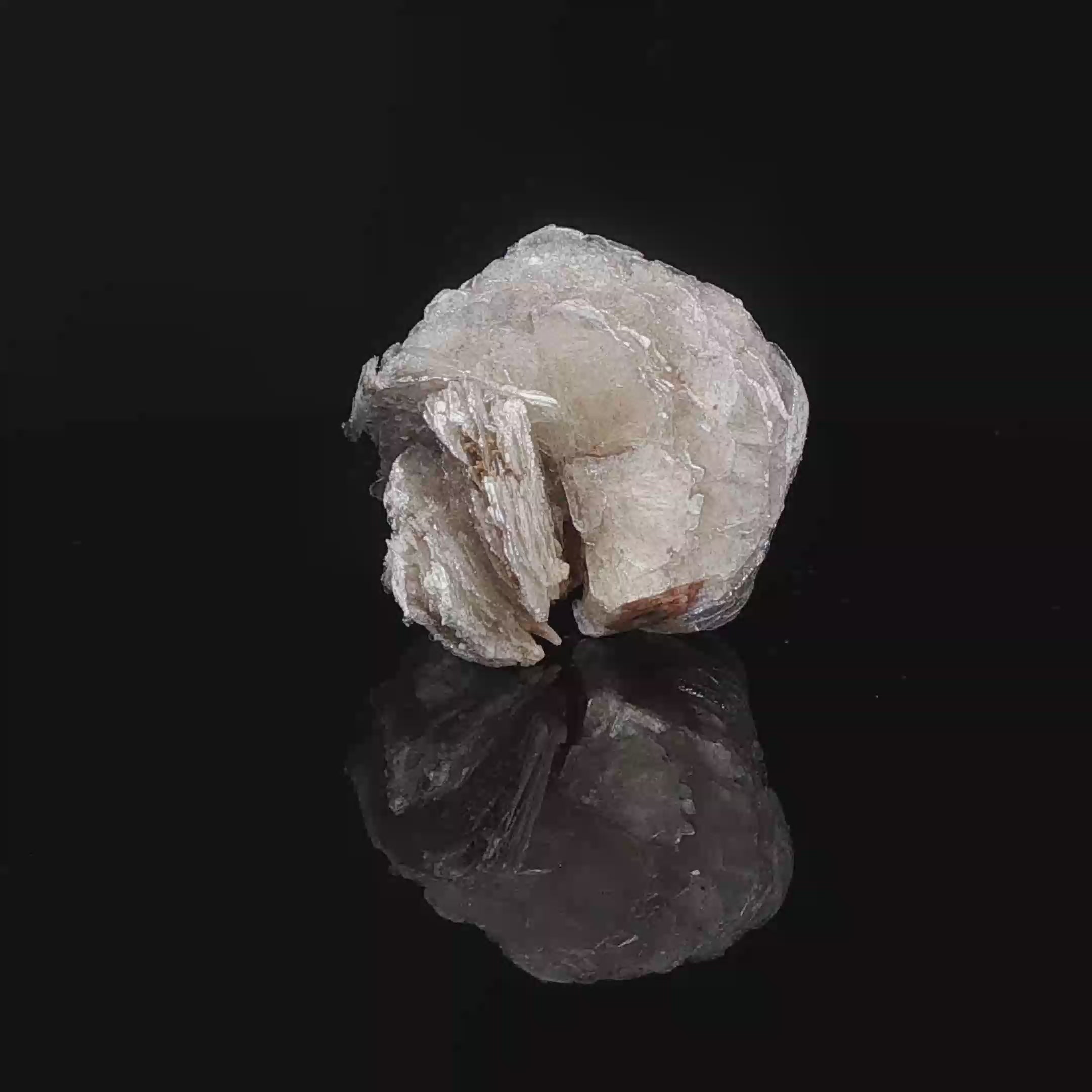 Polylithionite