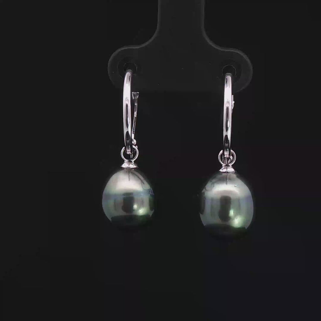 Tahitian Pearl Hoops