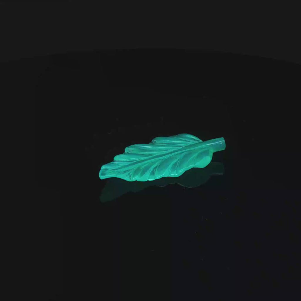 Neon Nature