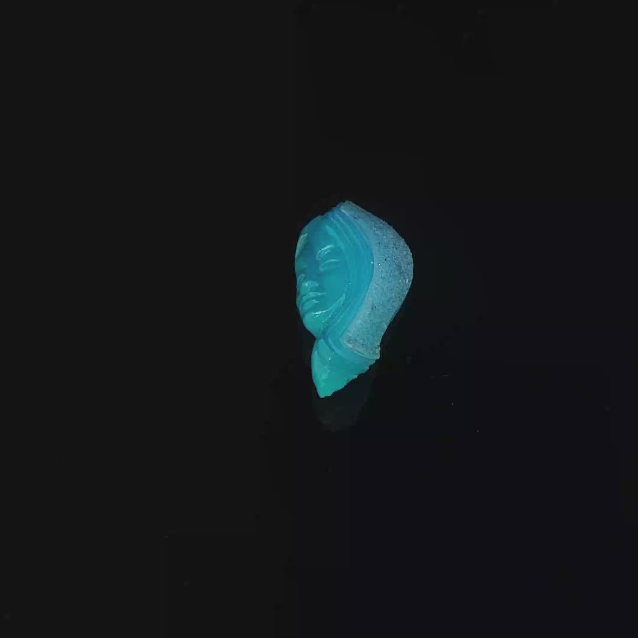 Tidal Muse