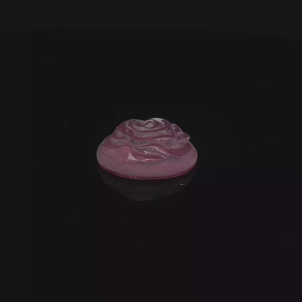 Moonlit Rose