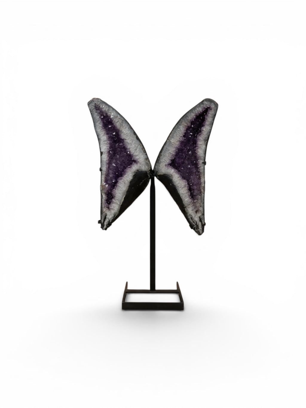 Wings in Violet I